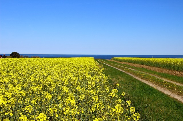 Soligt Skåne, Österlen